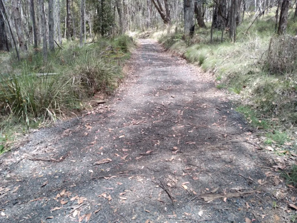 Additional image 2 of Lot 1 Mount Charlie Road, Riddells Creek VIC 3431