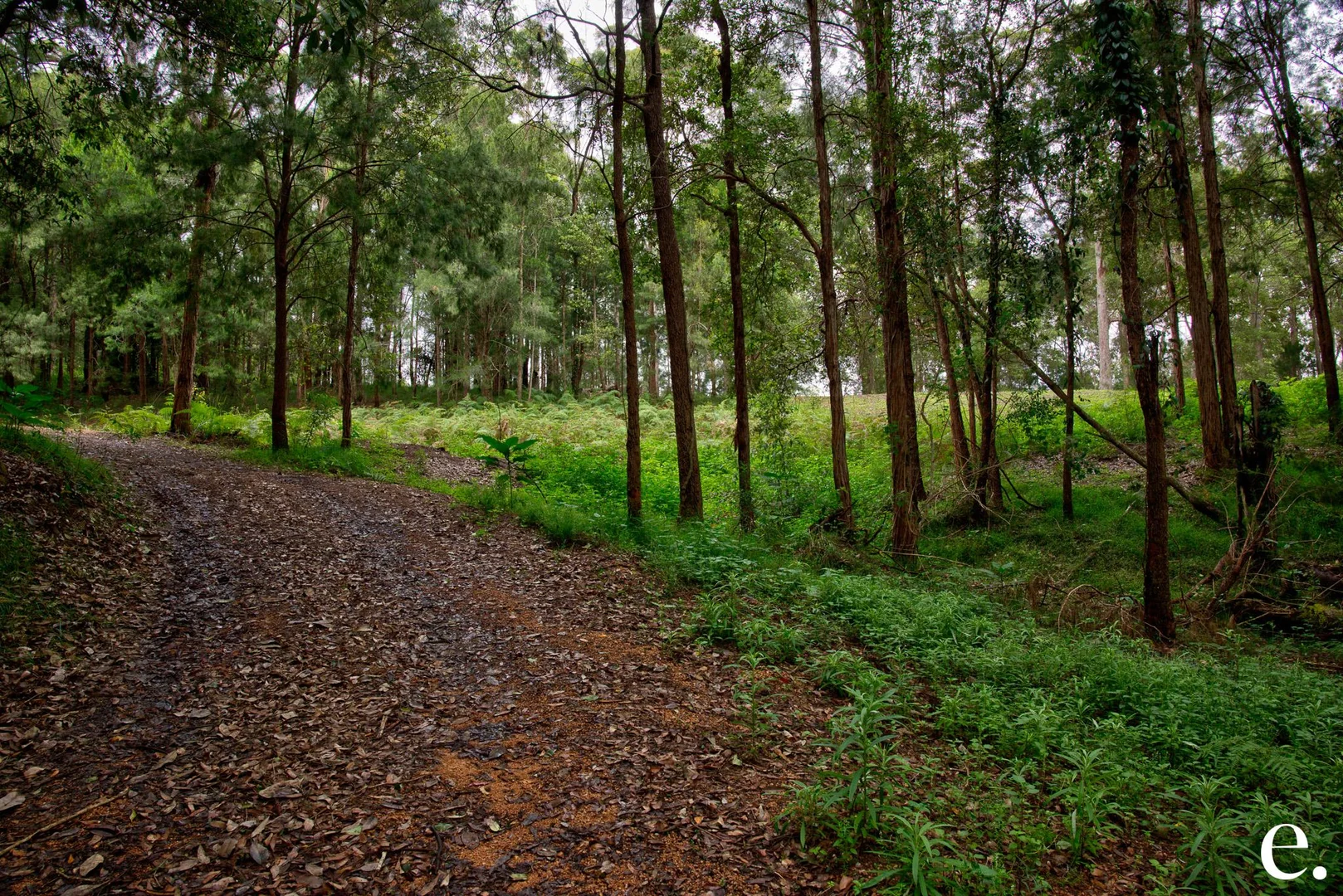 Additional image 21 of 4 Dielhof Drive, Wondecla QLD 4887