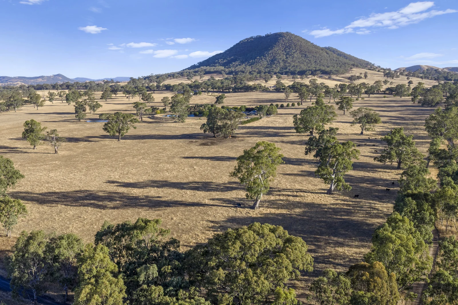 Additional image 26 of 2647 Maroondah Highway, Maindample VIC 3723