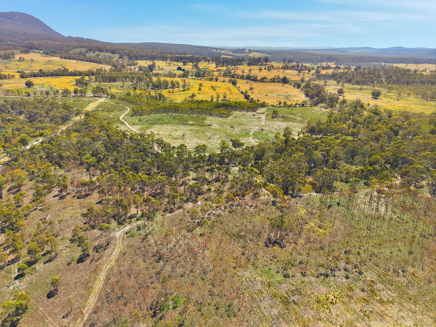 Additional image 11 of 422 Levendale Back Road, Levendale TAS 7120