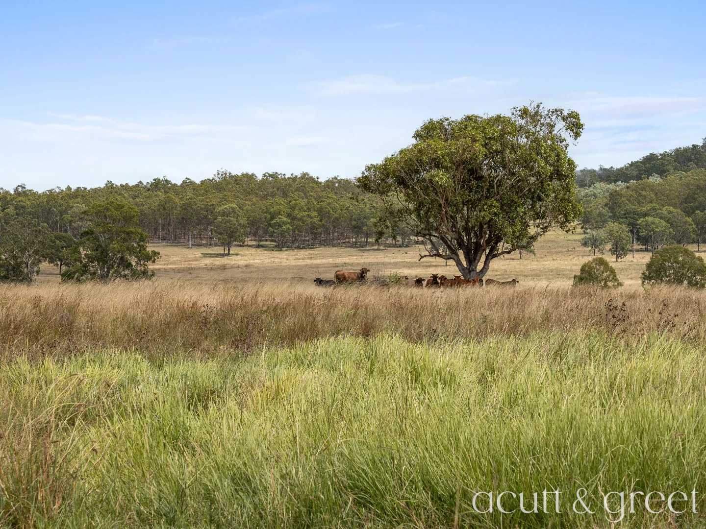 Additional image 34 of 130 Tuites Lane, Biarra QLD 4313