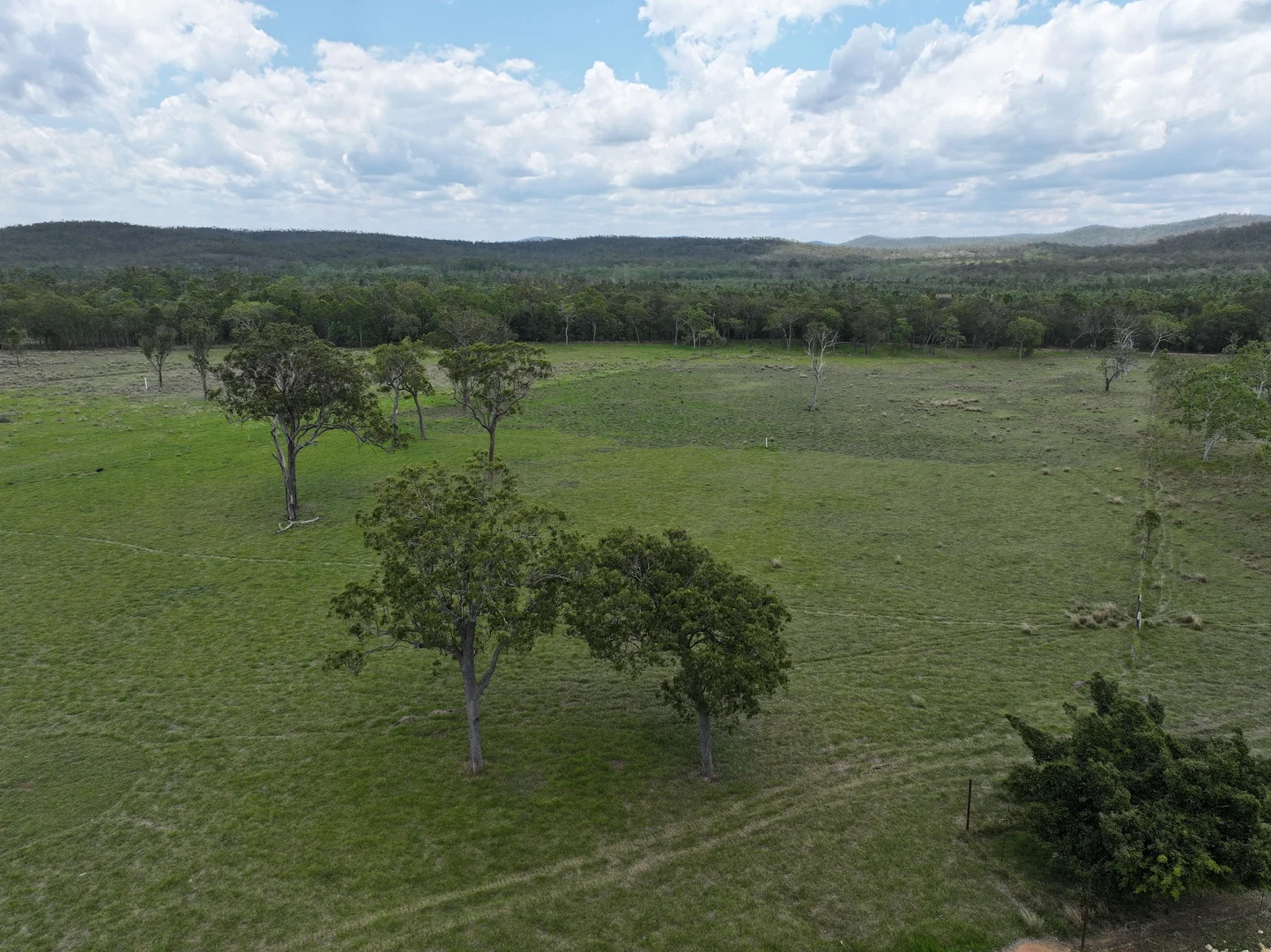 Additional image 13 of Blunder Park Station 382 Blunder Park Road, Ravenshoe QLD 4888