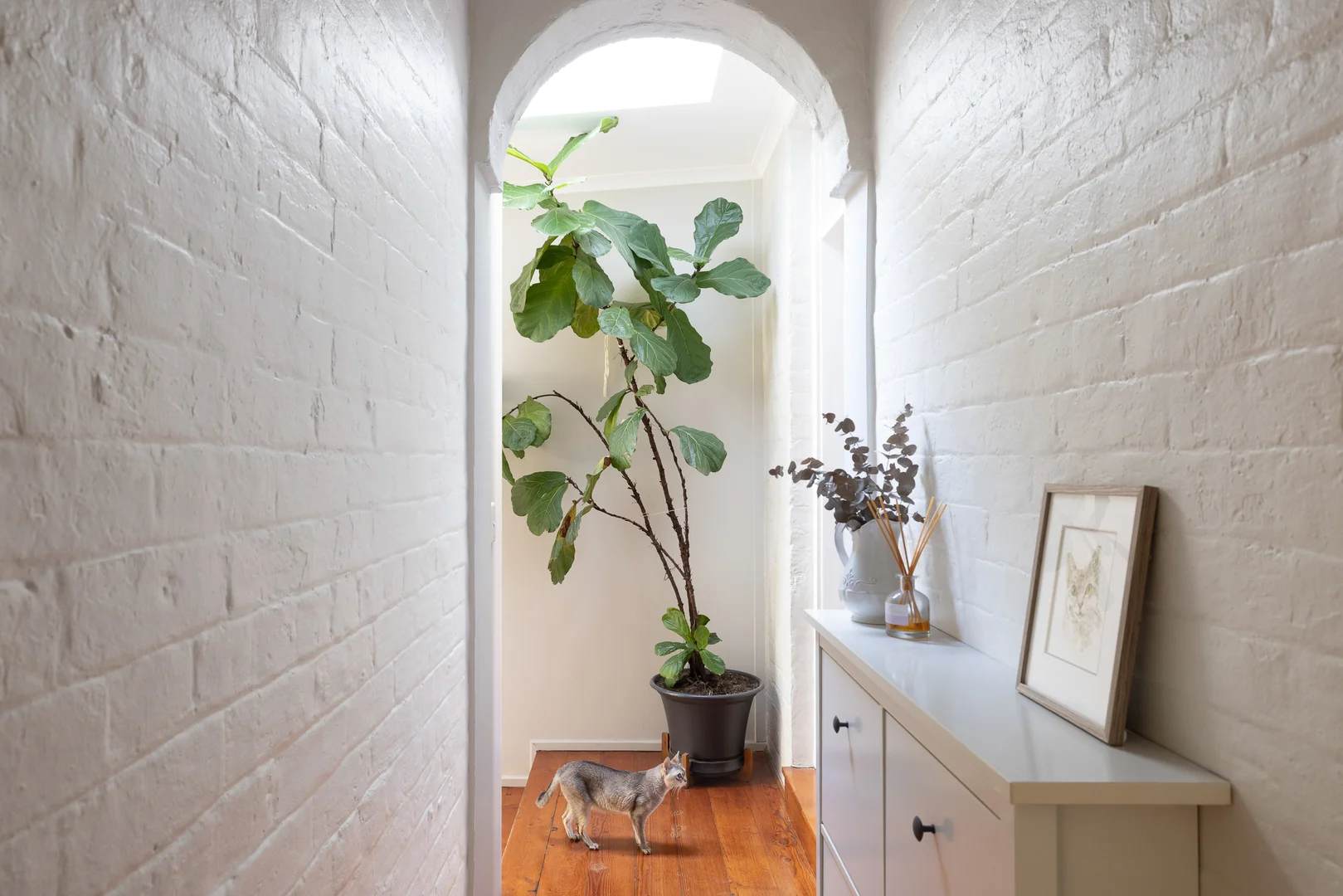 Additional image 7 of 58 Margaret Street, Petersham NSW 2049