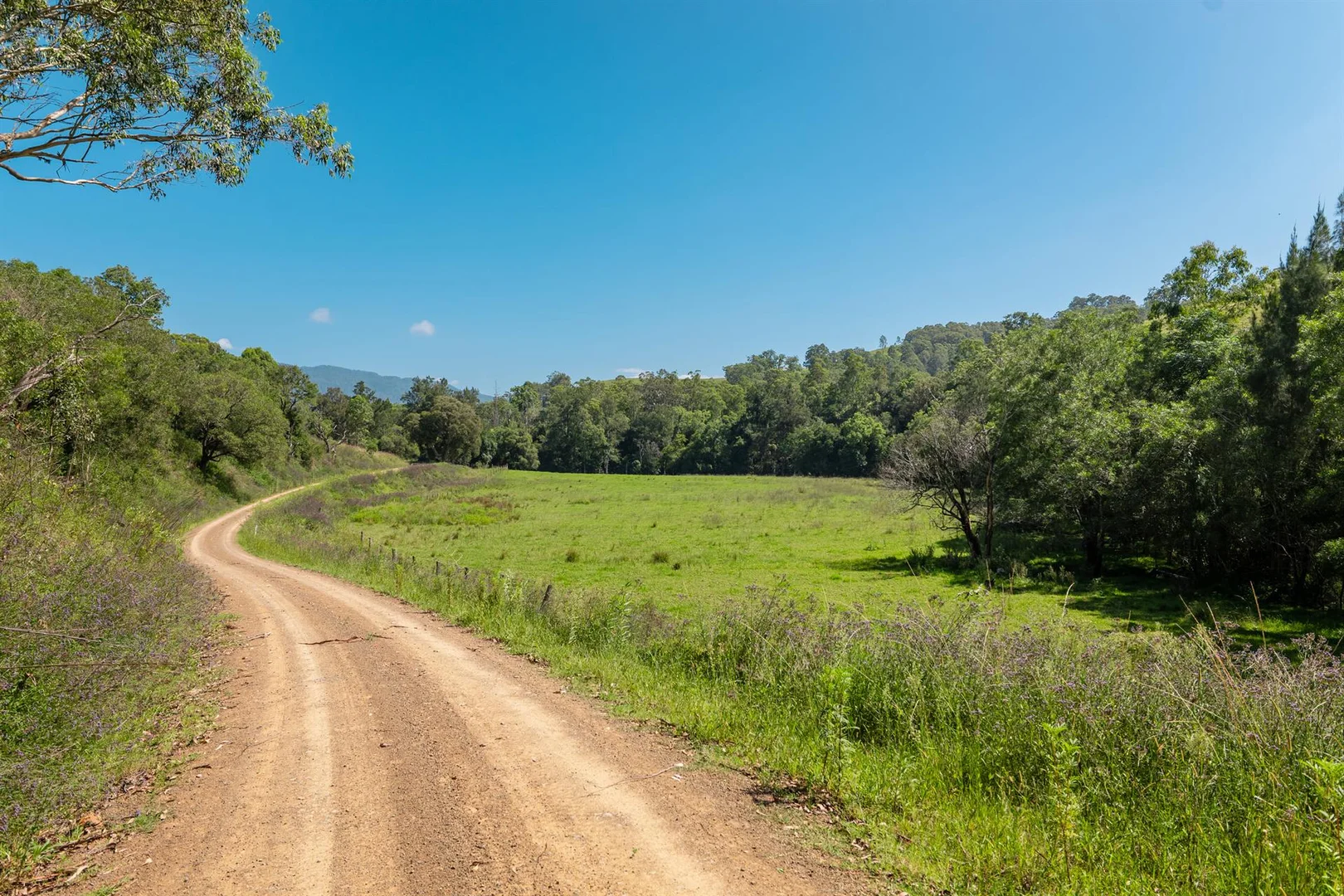 Additional image 27 of 321 Masseys Creek Road, Eccleston NSW 2311