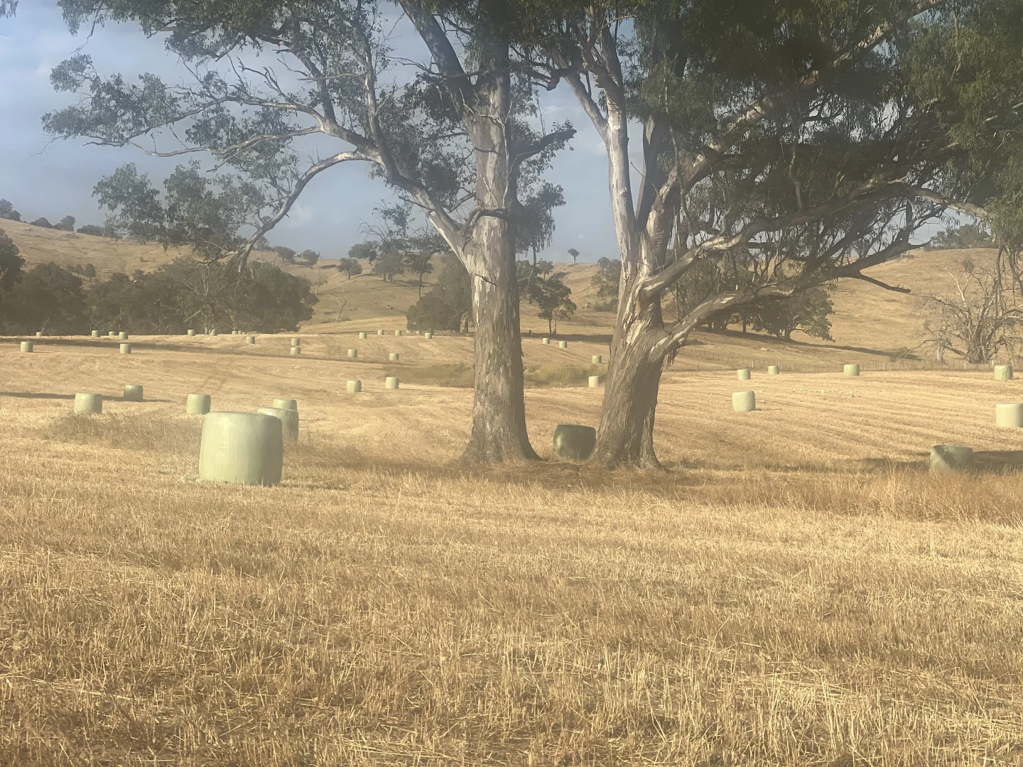 Additional image 10 of Lot 27 Sandy Creek Road, Sandy Creek VIC 3695