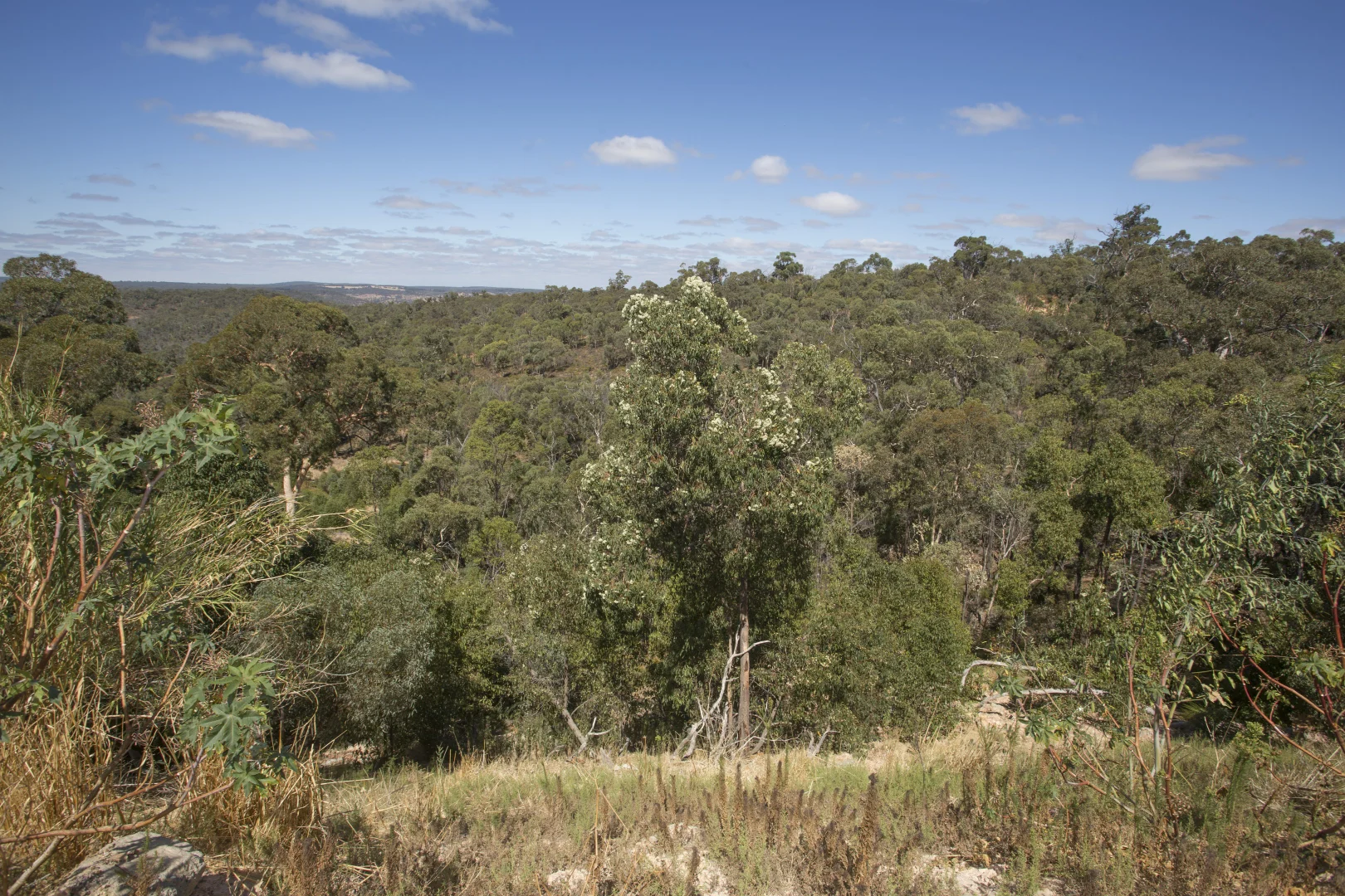 Additional image 26 of 240 Turtledove Drive, Lower Chittering WA 6084