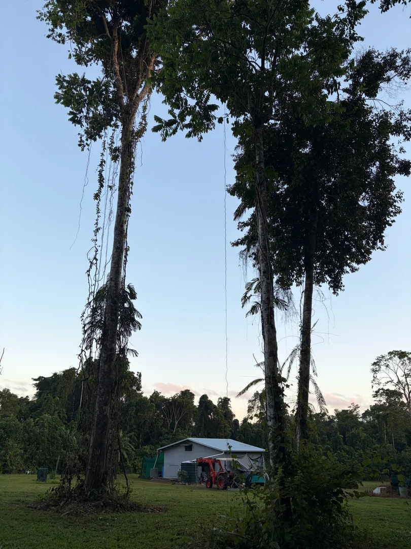 Additional image 5 of 252 Jackson Road, Shell Pocket QLD 4855