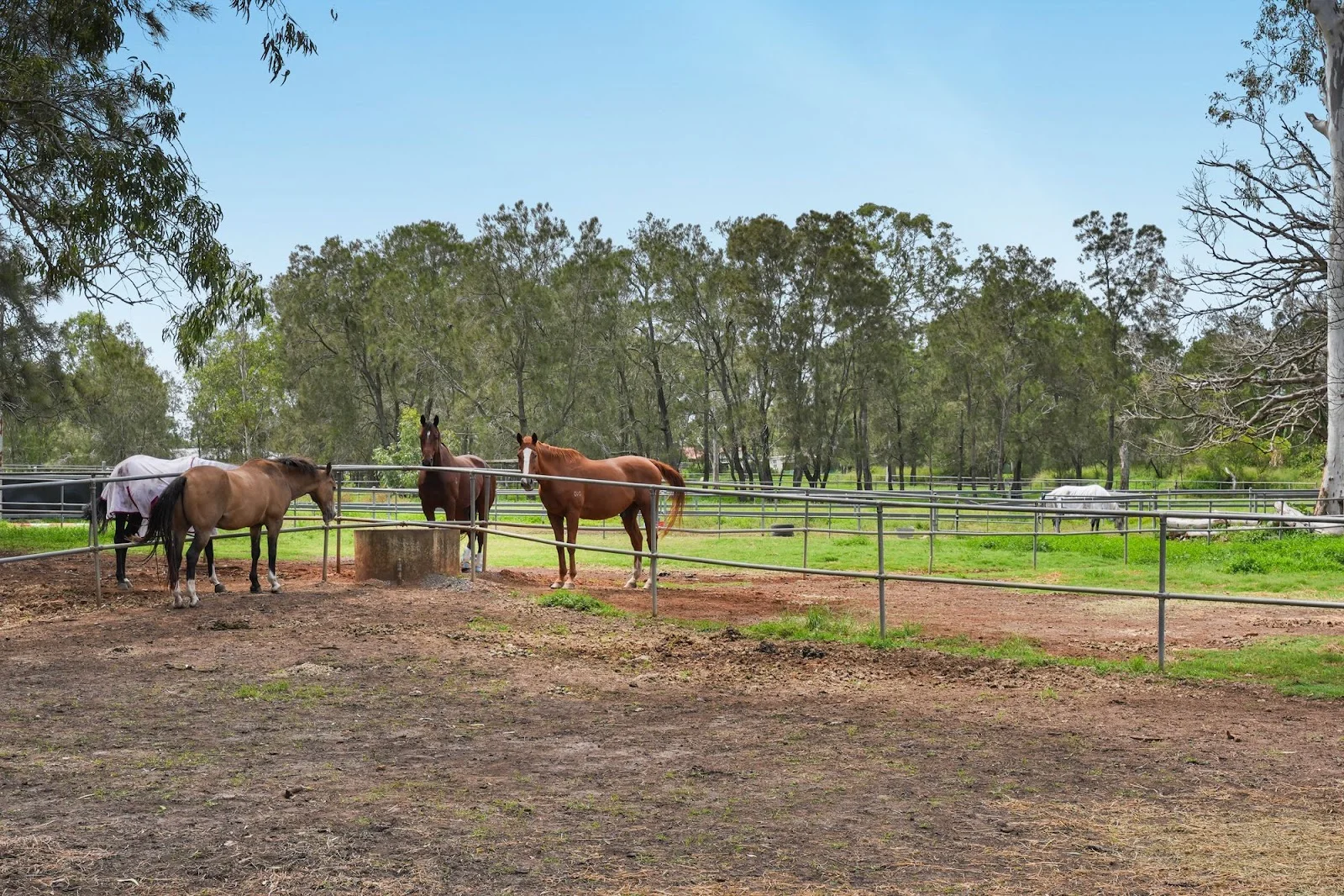 Additional image 19 of 76 Foley Road, Hemmant QLD 4174