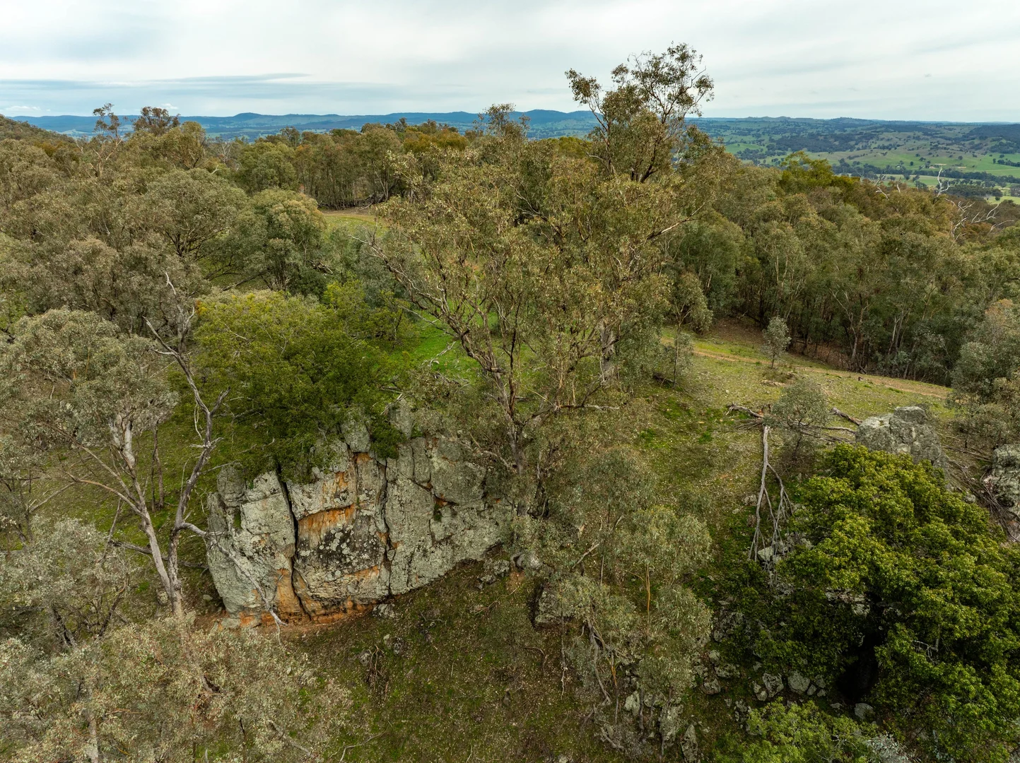 Additional image 52 of 2543 Westbrook Road, Oberne Creek NSW 2650