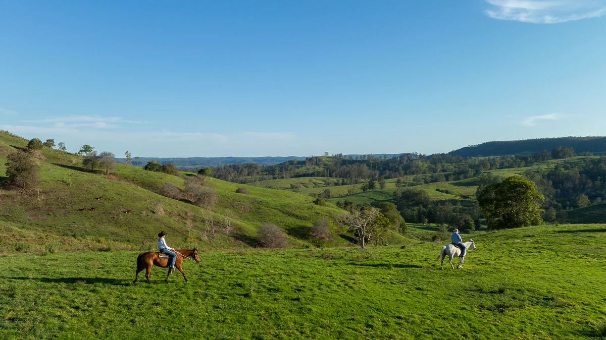 Additional image 23 of Bingeebeebra Creek, Mummulgum NSW 2469
