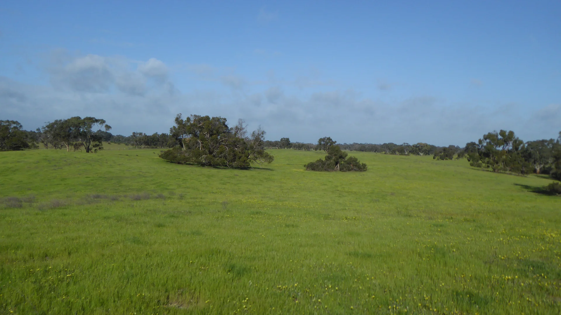 Additional image 18 of 2448 Bangham Road, Frances SA 5262