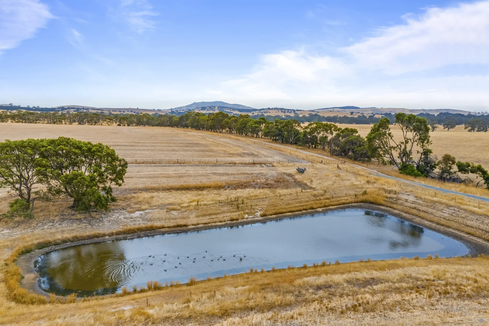 Additional image 17 of 339 Burrumbeep Road, Maroona VIC 3377