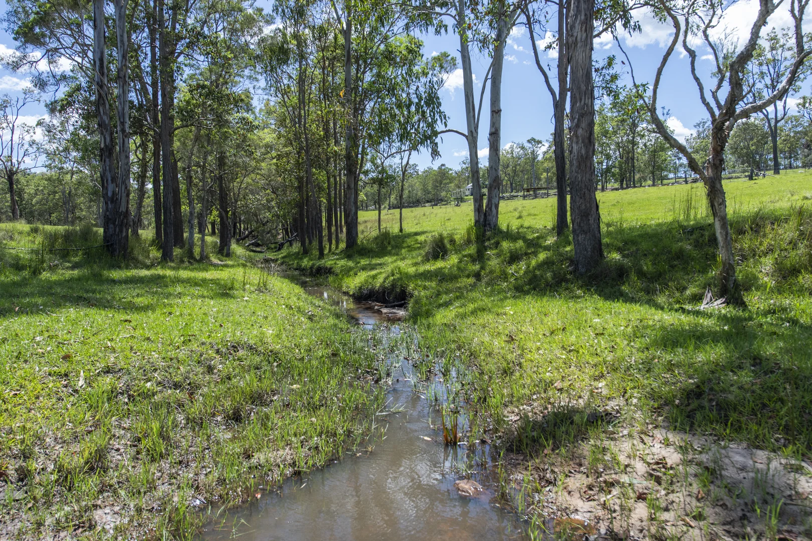 Additional image 26 of 172 Meyers Road, Ramornie NSW 2460