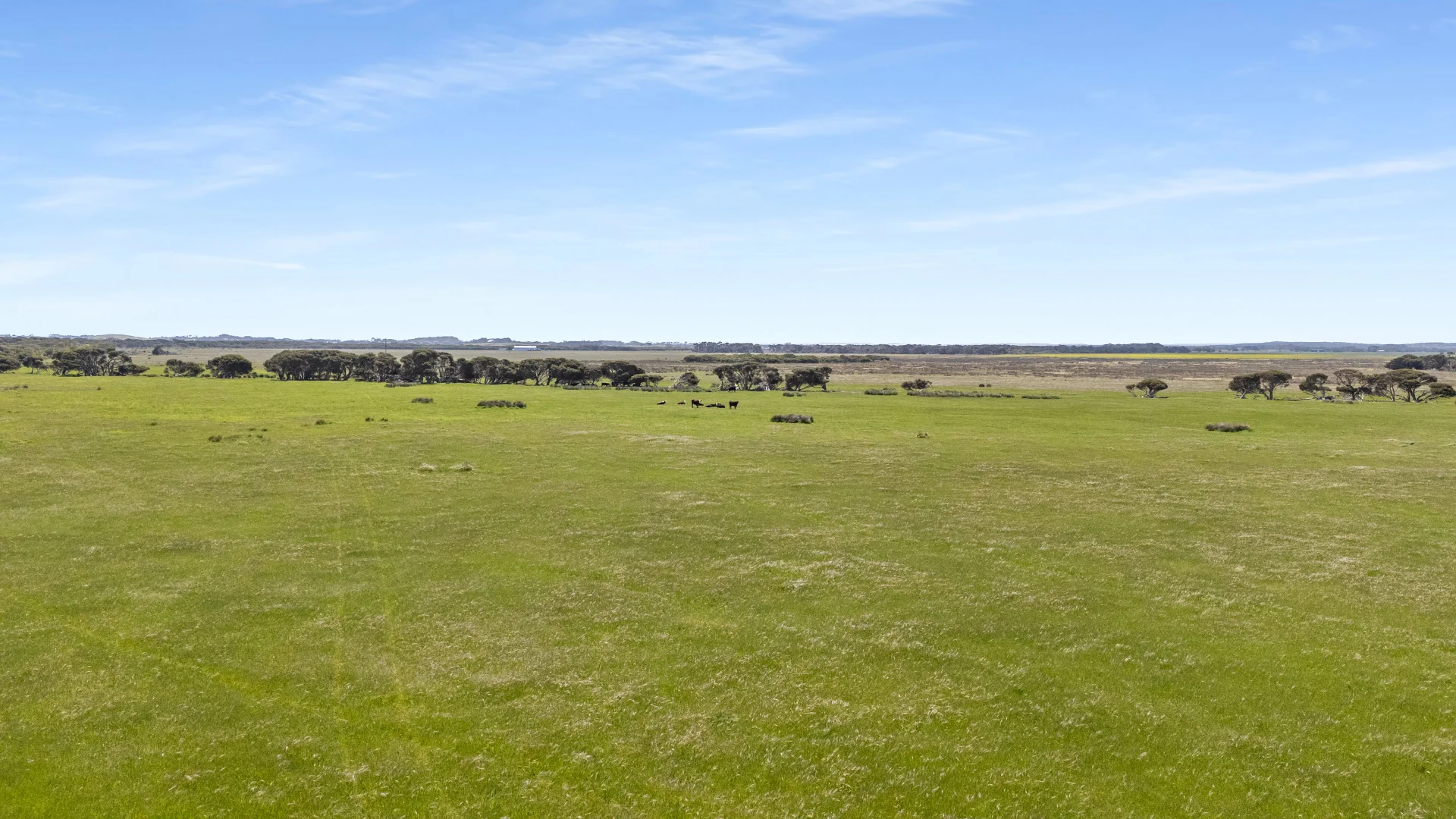 Additional image 17 of 701 Nora Creina Road, Robe SA 5276