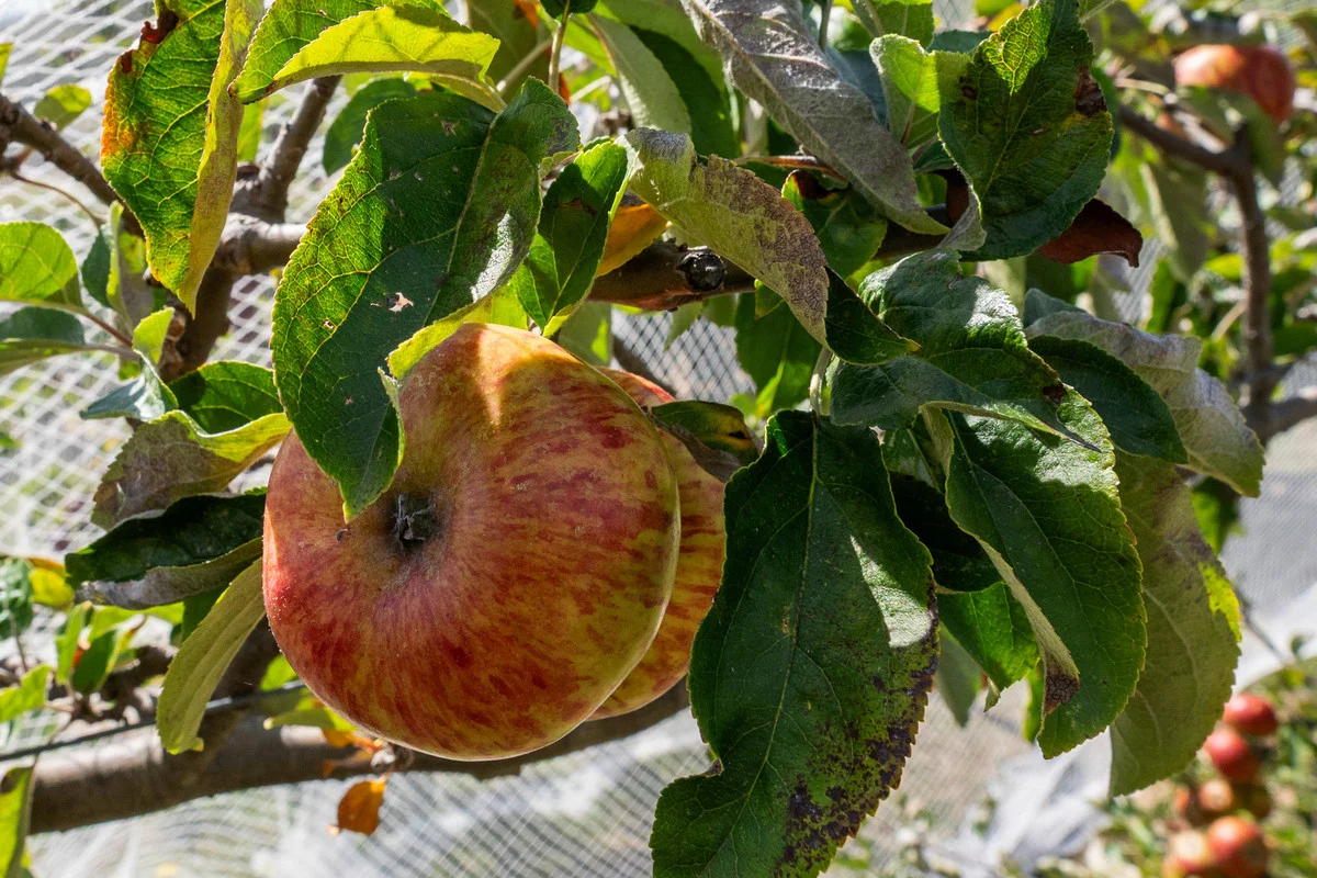 Additional image 25 of 2480 Channel Highway, Lower Snug TAS 7054