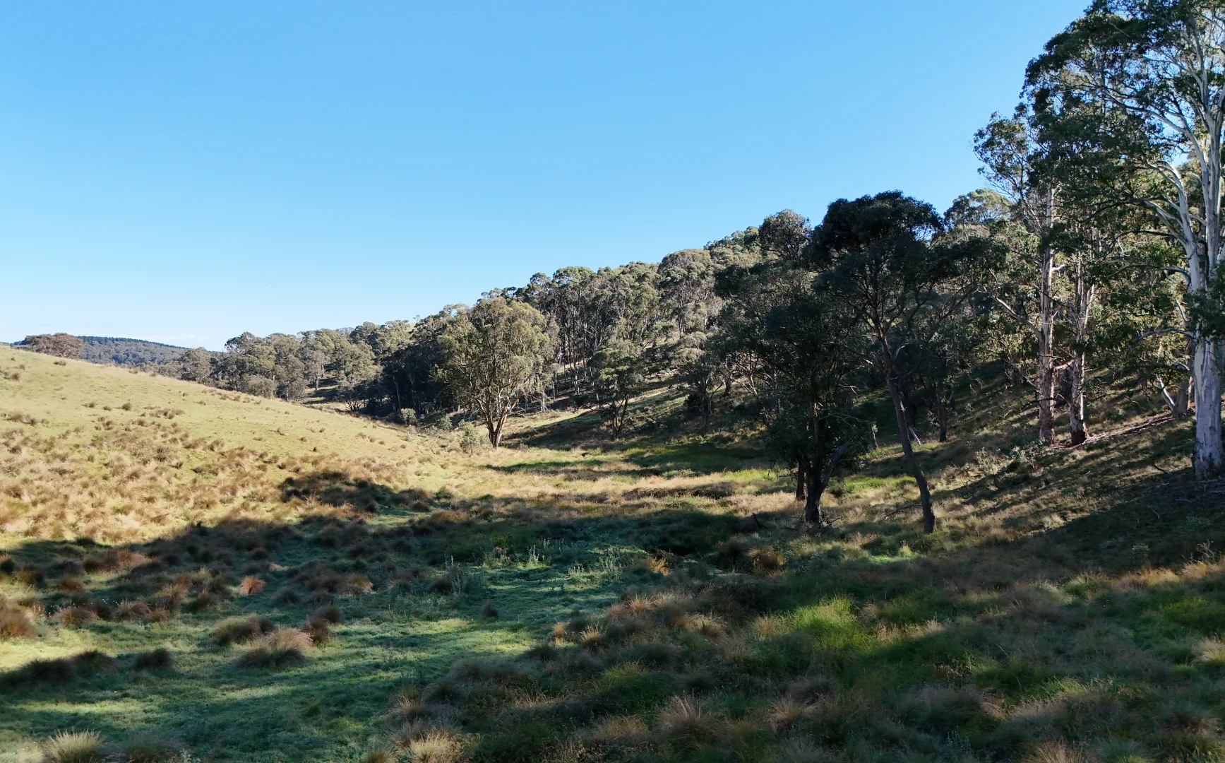 Additional image 27 of 222 Cranfield Road, Chatham Valley NSW 2787