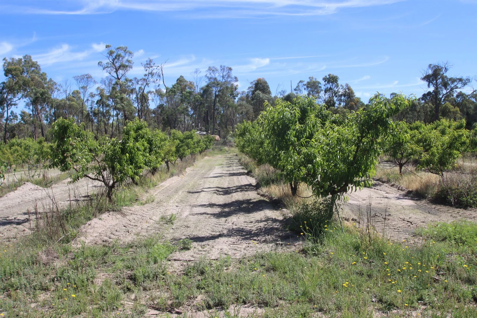 Additional image 7 of 27779A New England Highway, Fletcher QLD 4381