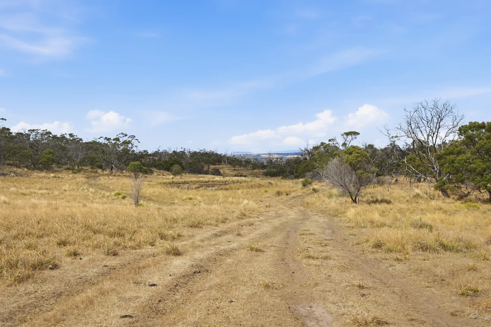 Additional image 15 of 75 Prossers Forest Road, Ravenswood TAS 7250