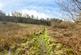 Additional image 3 of Land Lying to the South of School Lane, Pontybodkin, Flintshire CH7 4UB