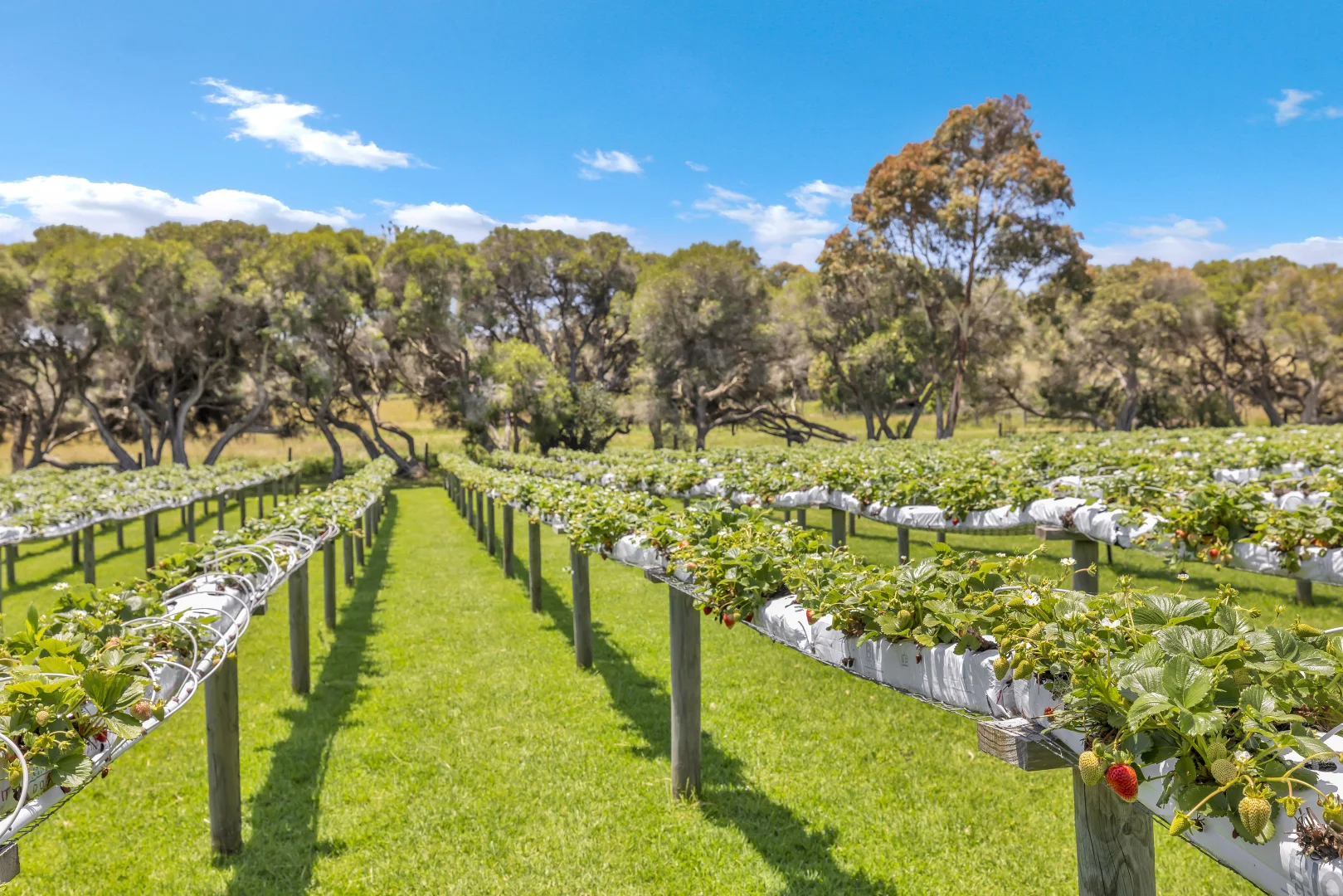 Additional image 9 of 2185 Dalyston-Glen Forbes Road, Glen Forbes VIC 3990