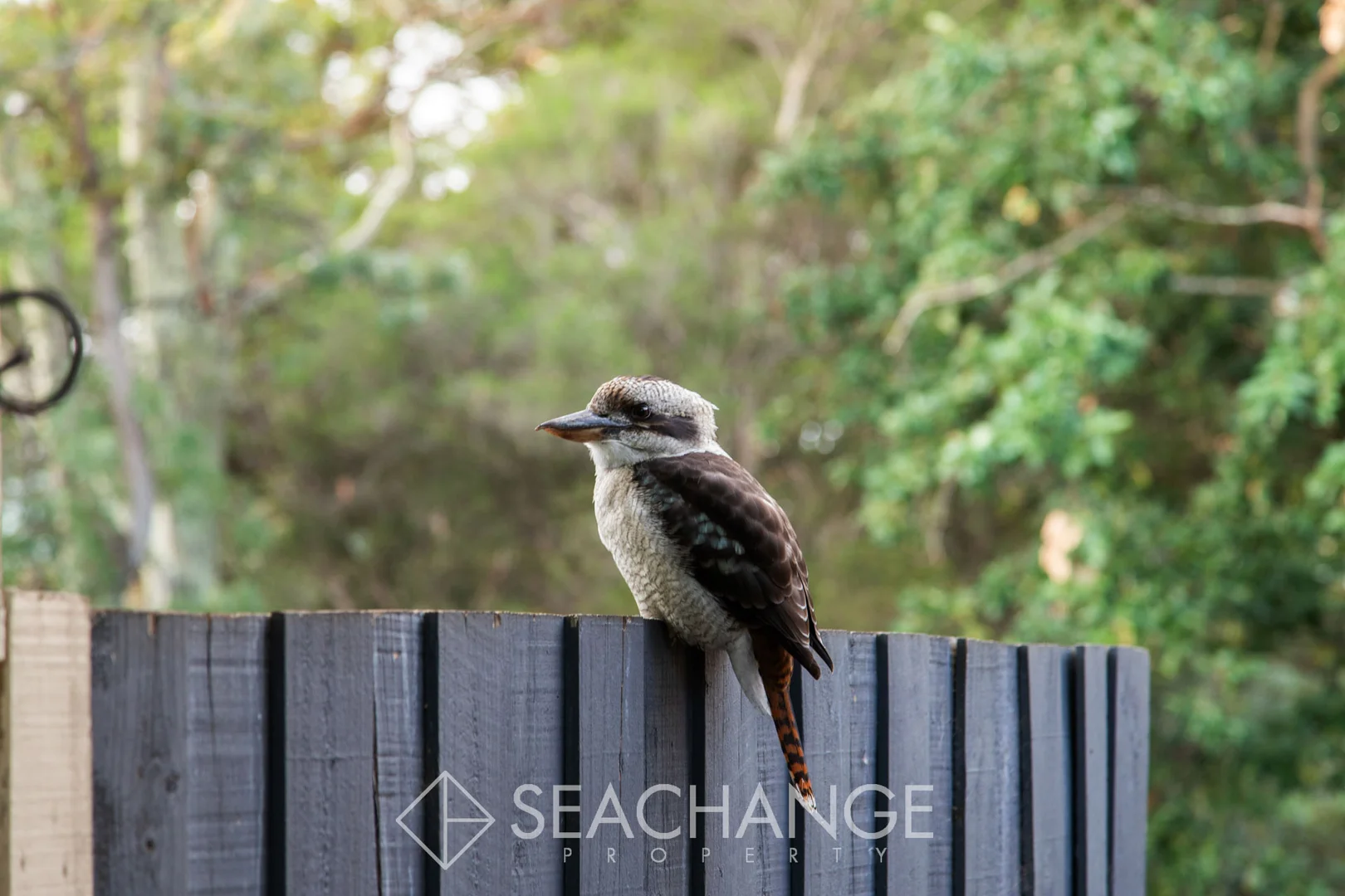 Additional image 19 of 3/110 Barkly Street, Mornington VIC 3931