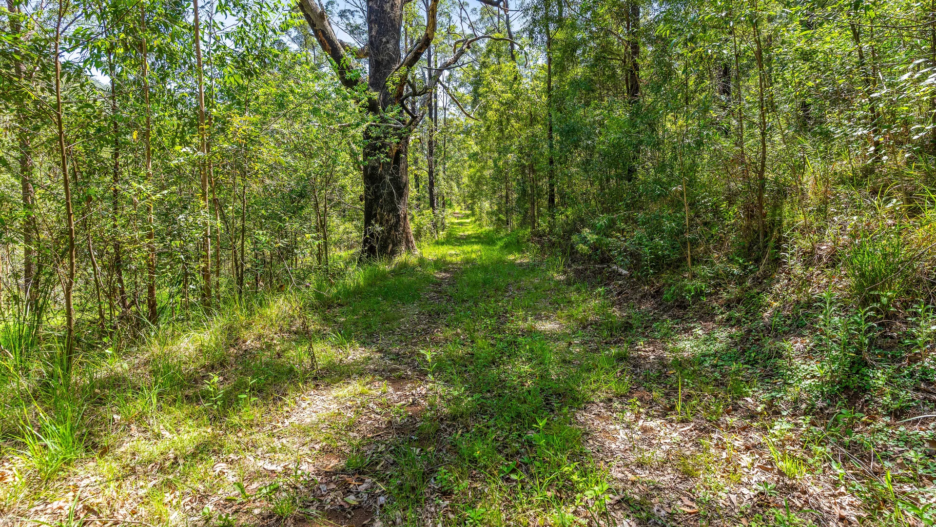 Additional image 22 of Wherrol Flat NSW 2429