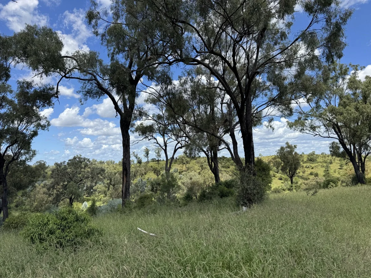 Additional image 24 of "Mustons" Frawleys Road, Thangool QLD 4716