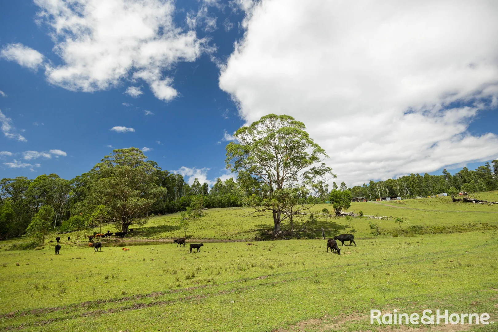 Additional image 16 of 225 Woodburn Road, Morton NSW 2538