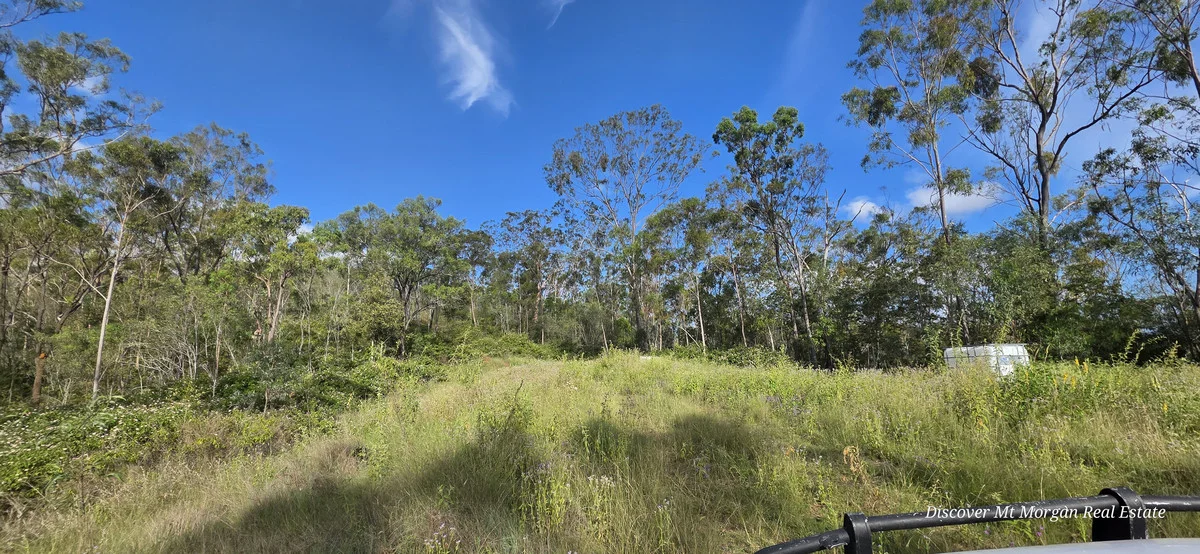 Additional image 15 of Lot 9 Struck oil Road, Struck Oil QLD 4714