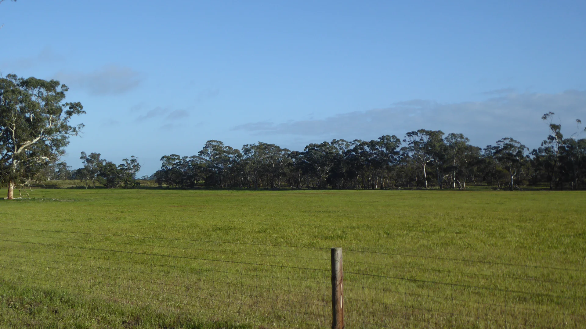 Additional image 13 of 2448 Bangham Road, Frances SA 5262