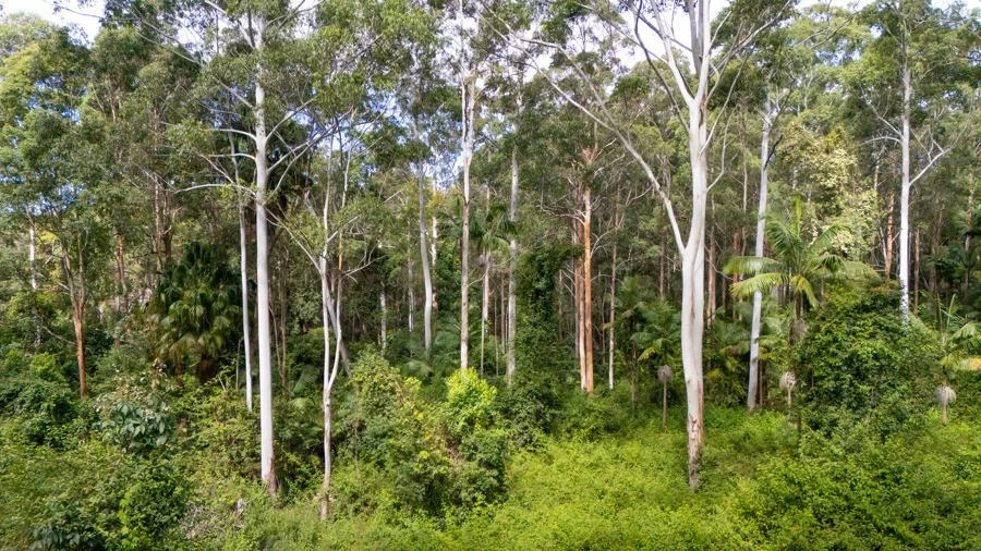 Additional image 2 of 1458 Sherwood Creek Road, Sherwood NSW 2450