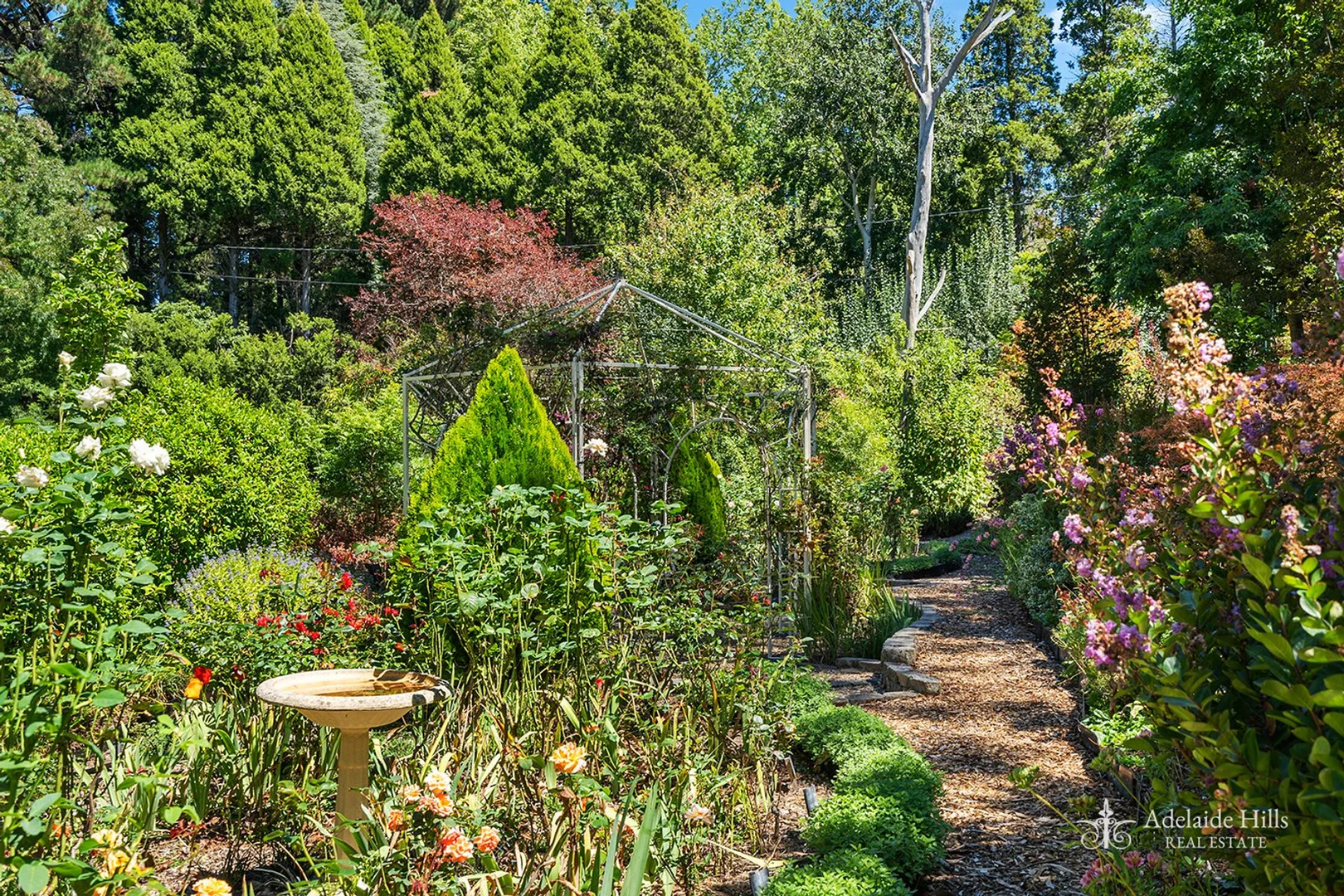 Additional image 26 of 6 Bracken Road, Stirling SA 5152