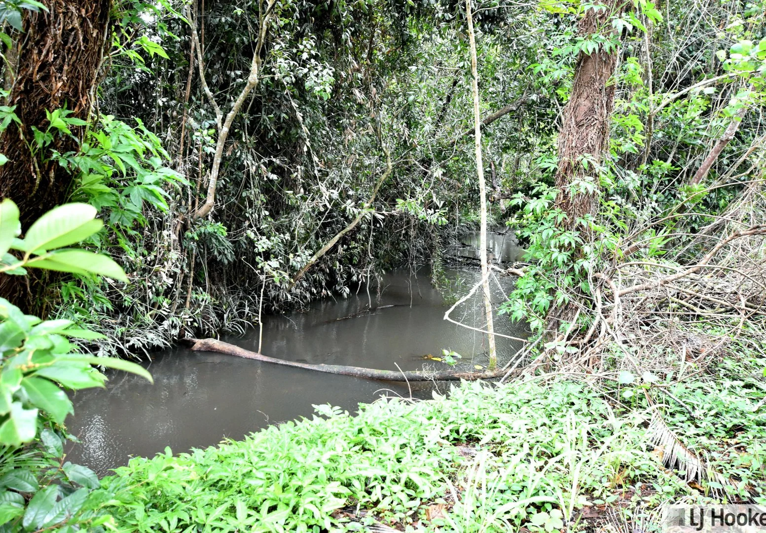 Additional image 6 of 799 Davidson Road, Euramo QLD 4854