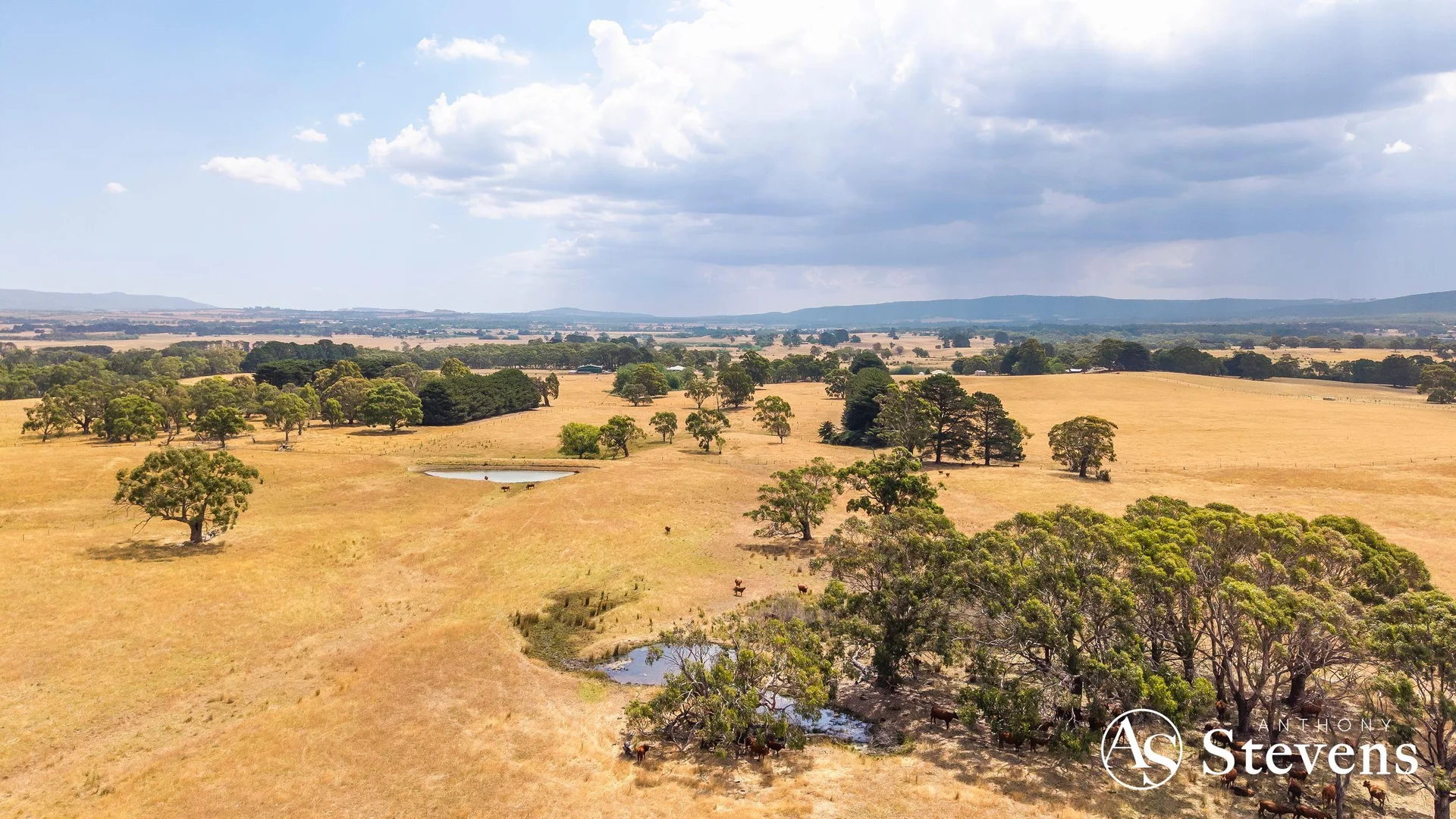 Additional image 16 of C/A-61 Pattinsons Lane, Goldie VIC 3435