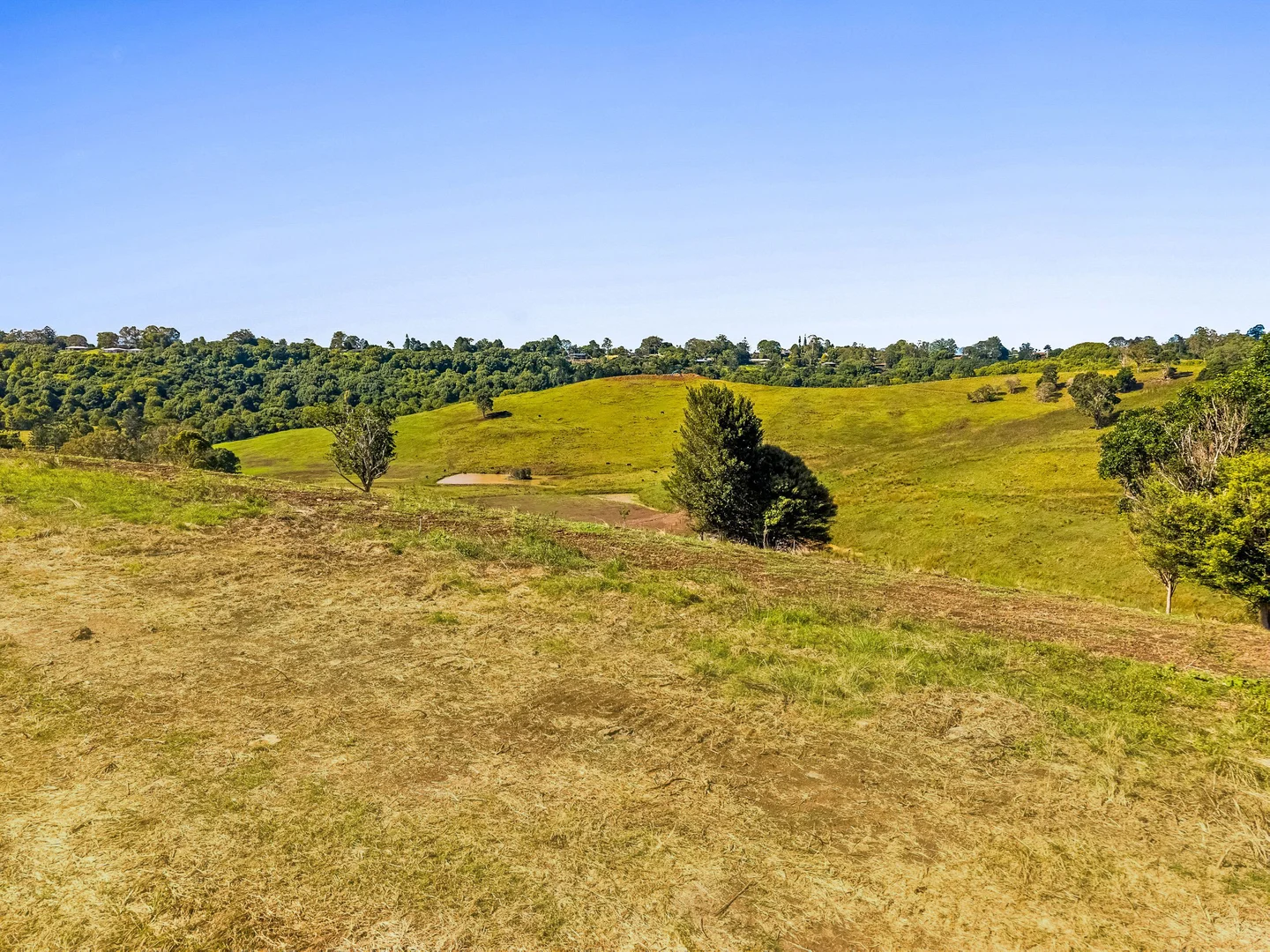 Additional image 5 of Pineapple Road, Goonellabah NSW 2480