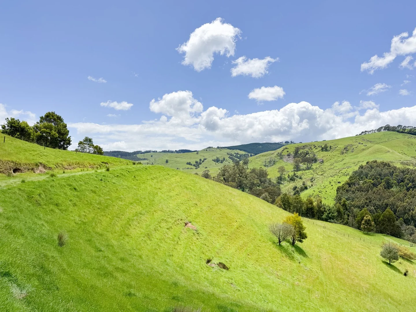 Additional image 10 of 1725 Wild Dog Valley, Strzelecki VIC 3950