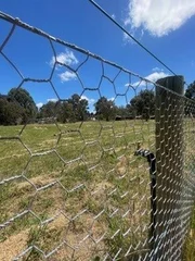 Additional image 18 of Henry Street, Glenthompson VIC 3293