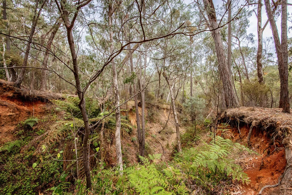 Additional image 32 of 22 Crystal Creek Lane, Yackandandah VIC 3749