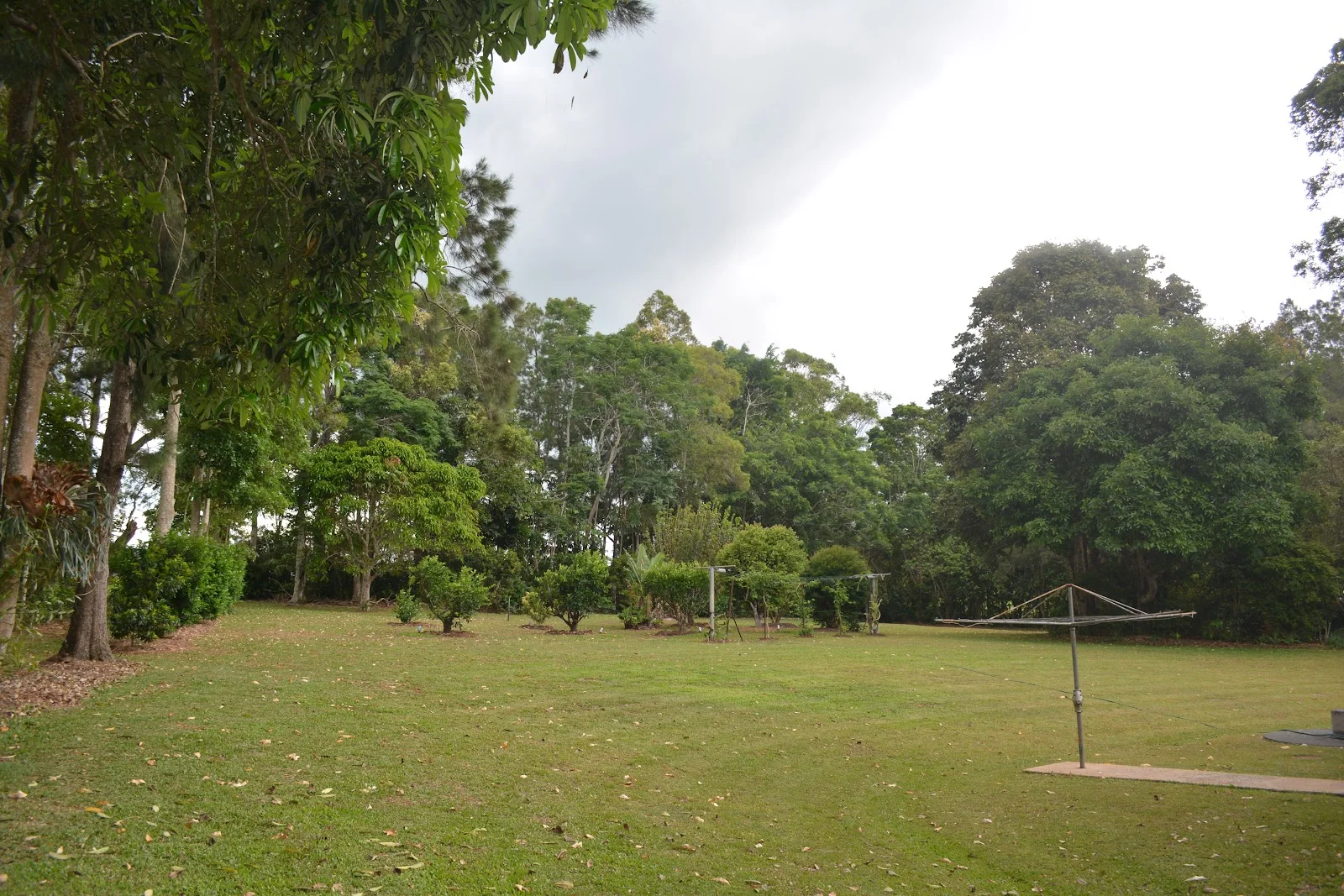 Additional image 36 of 20 Russell Road, Lake Eacham QLD 4884