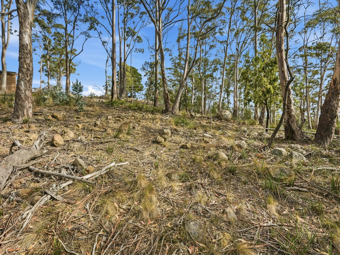 Additional image 7 of 11 Hargrave Place, Mount Nelson TAS 7007