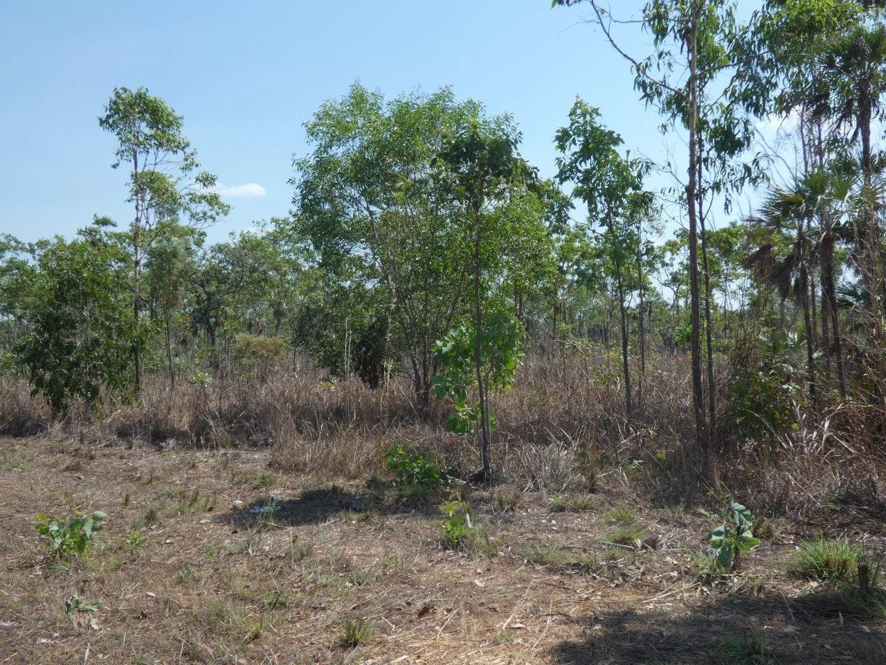 Additional image 8 of 5 Mielang Road, Blackmore NT 0822