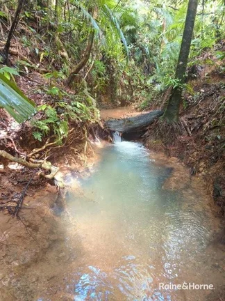Additional image 15 of Lot 11 Milky Pine Road, Kimberley, Daintree QLD 4873