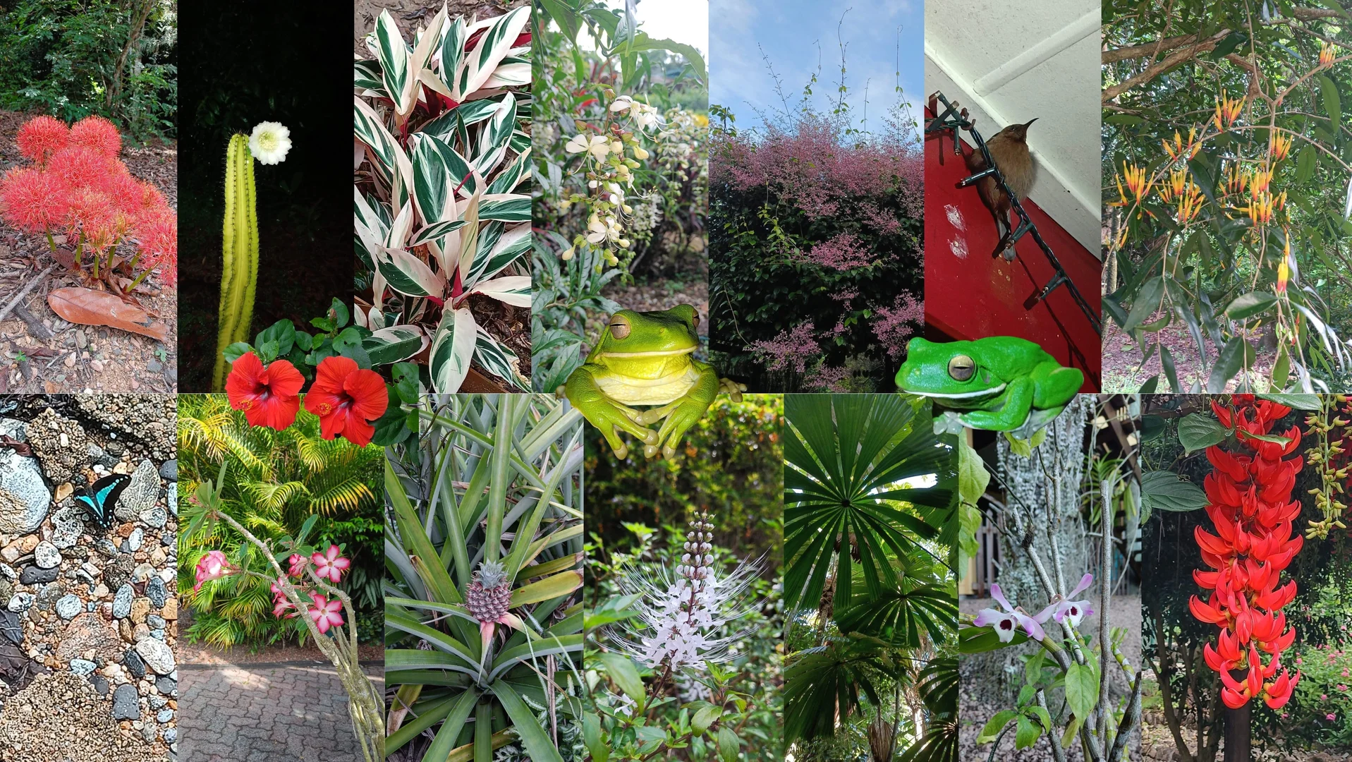 Additional image 40 of 11 Mission Cir, Wongaling Beach QLD 4852