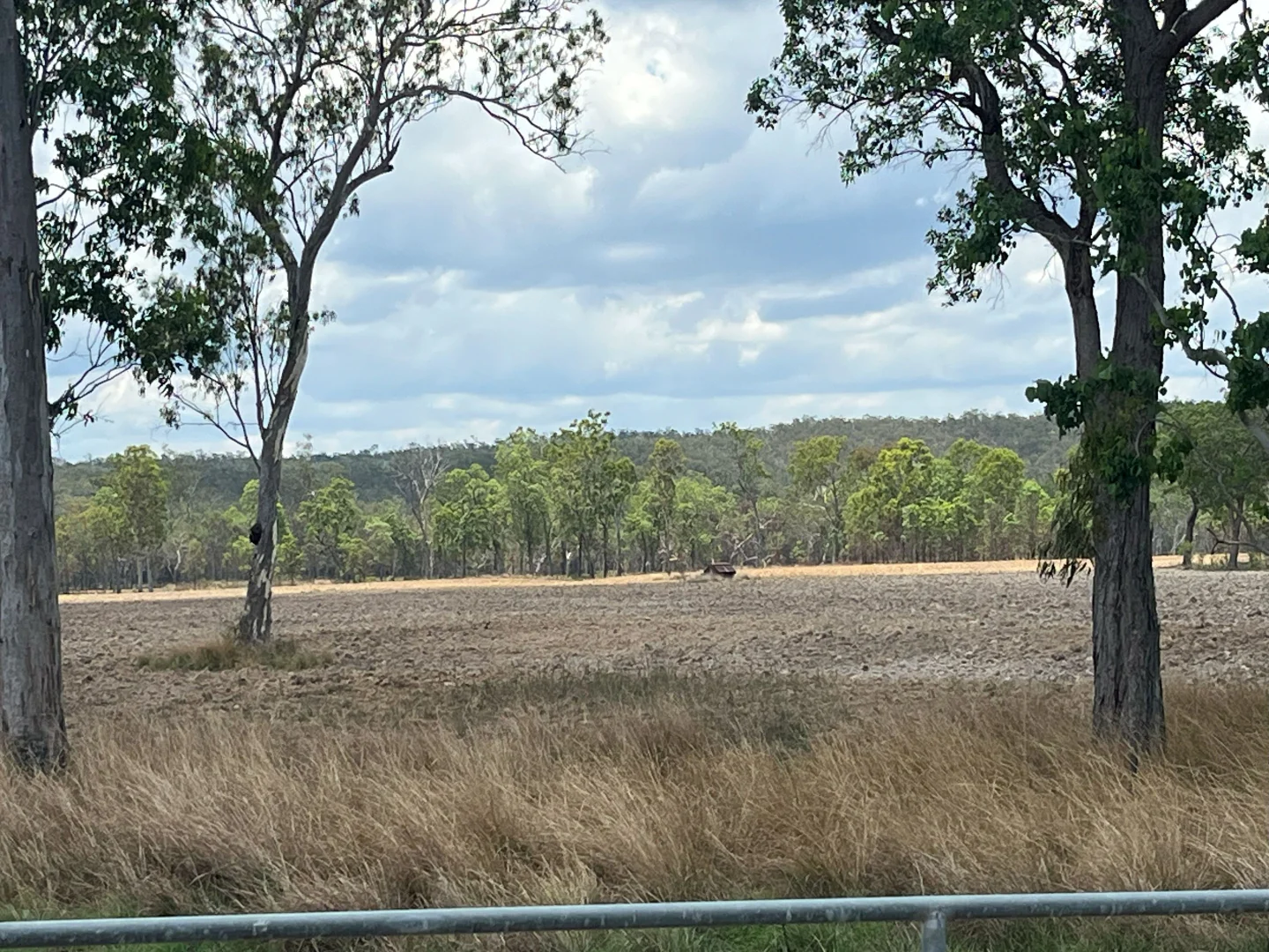 Additional image 6 of Blunder Park Station 382 Blunder Park Road, Ravenshoe QLD 4888