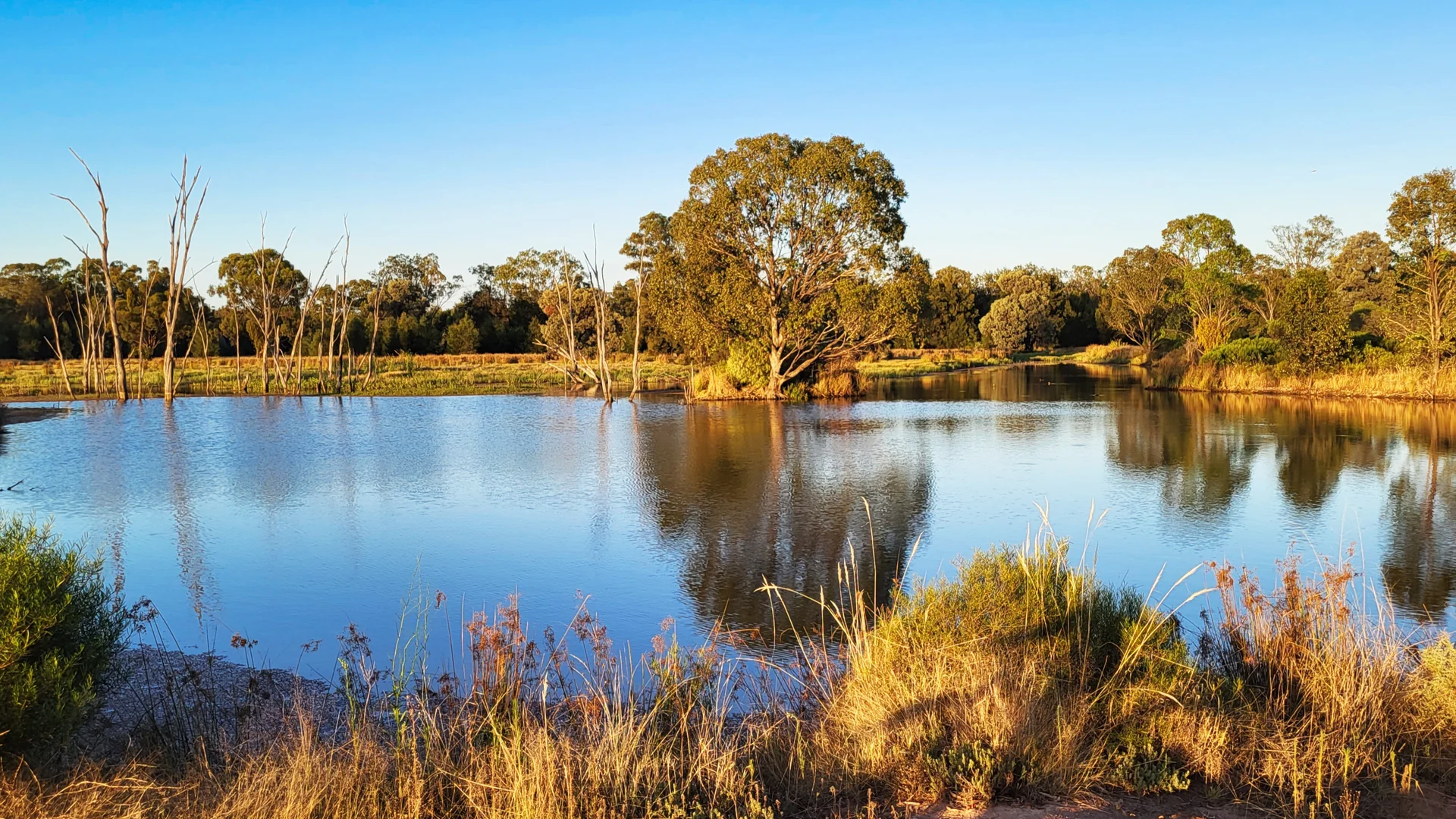 Additional image 3 of 296 Forest Way, Wee Waa NSW 2388