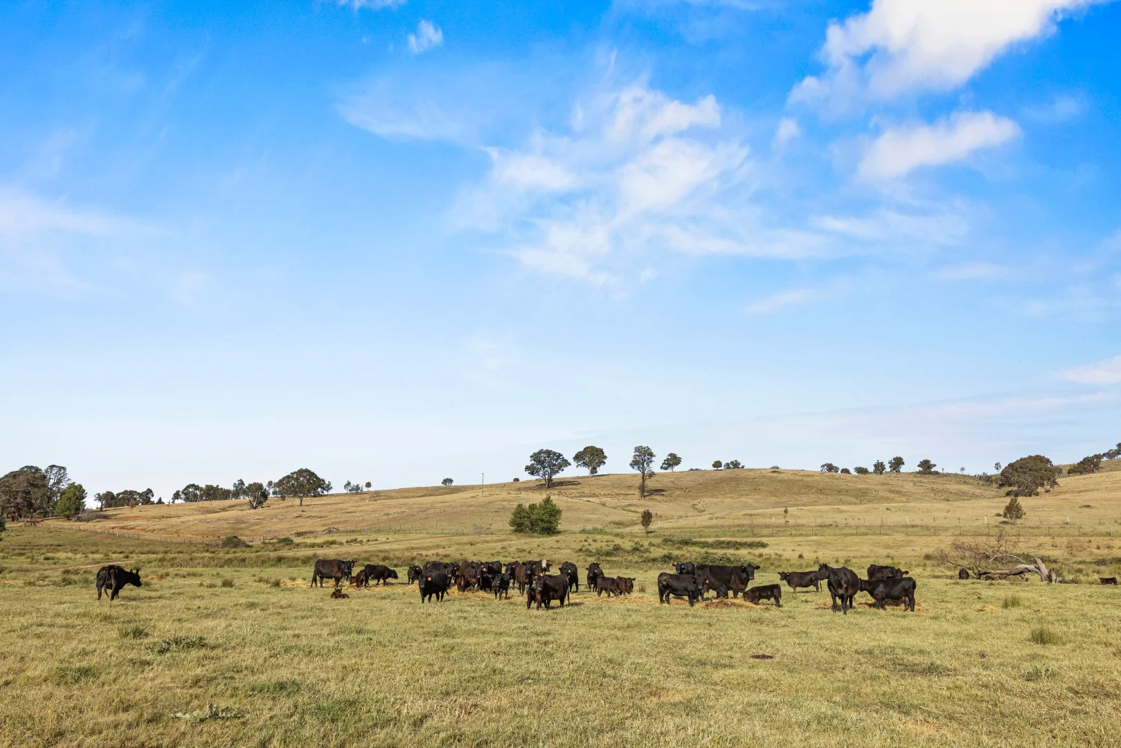 Additional image 6 of Lot 38 Gentle Destiny Road, Boorowa NSW 2586