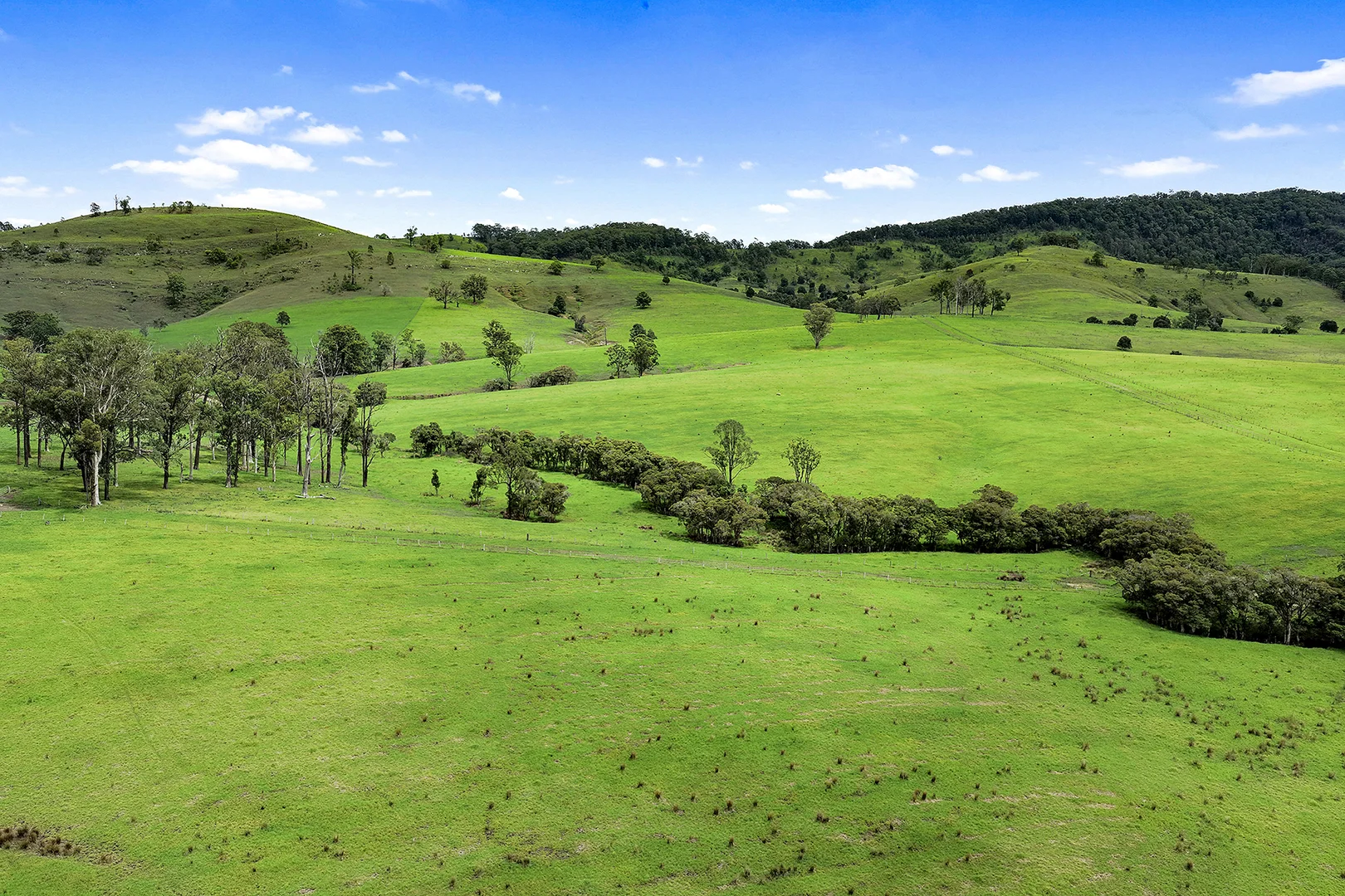 Additional image 15 of Lot 2 2135 The Bucketts Way, Wards River NSW 2422