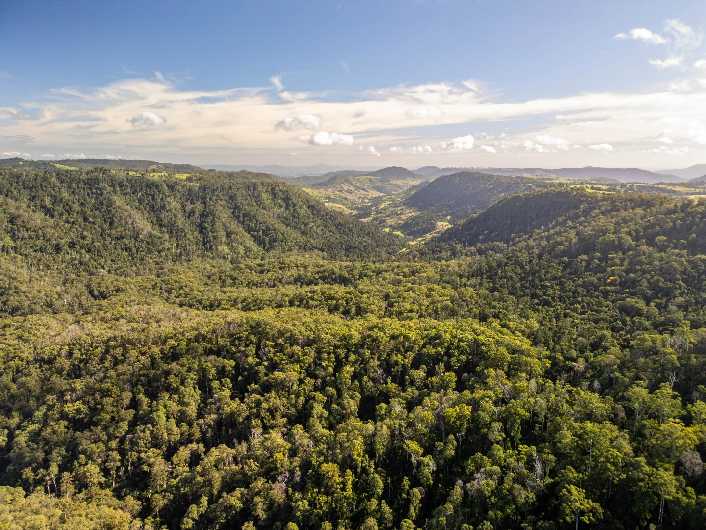 Additional image 12 of 618 Binna Burra Road, Beechmont QLD 4211