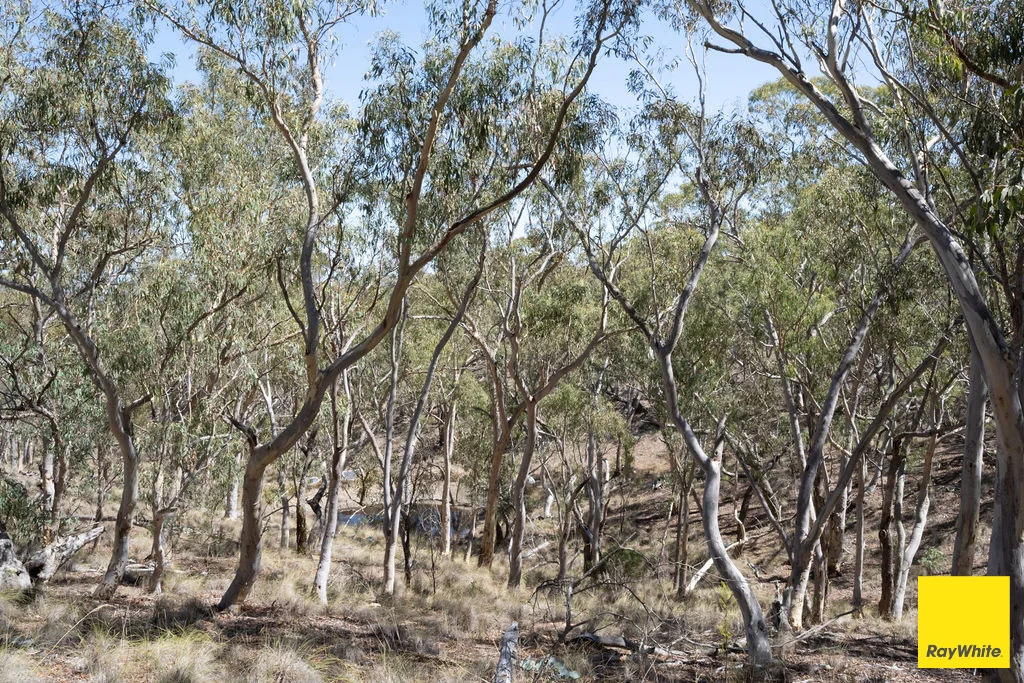 Additional image 28 of 625 Macs Reef Road, Bywong NSW 2621