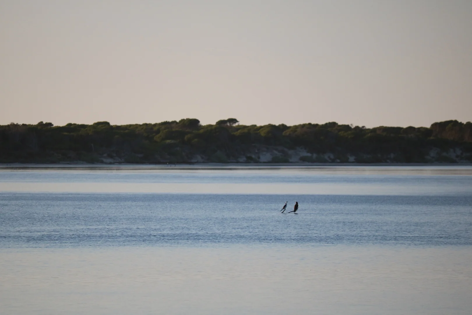 Additional image 4 of Lot 4 North East River Road, Palana TAS 7255